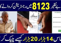 Ehsaas Program Online Check Payment 2022 (SMS & CNIC)